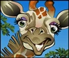 mega moolah giraffe