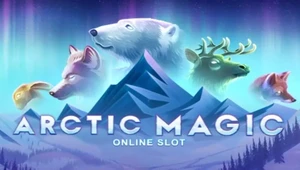 Arctic Magic Slot