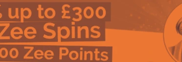 Playzee Welcome Promotion: 100% Deposit up to £300 + 100 Free Spins