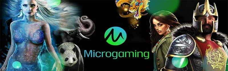 Play-over-600-Microgaming-Slots-for-real-money-1