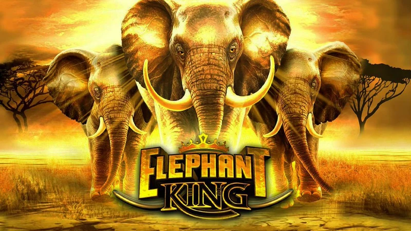 US - Best Slots - Elephant-king-slot-2022
