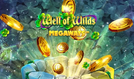 Well of Wilds Megaways Slot