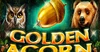 golden-acorn