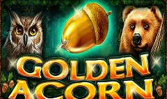 Golden Acorn Slot