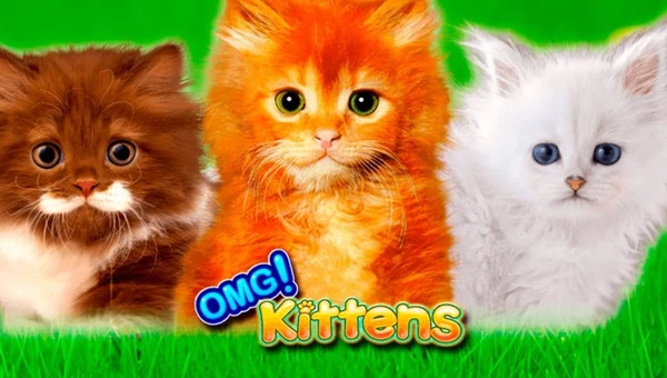 OMG Kittens Slot