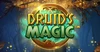 druid's magic logo 2