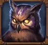 druid's magic owl