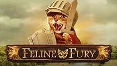 Feline Fury Slot