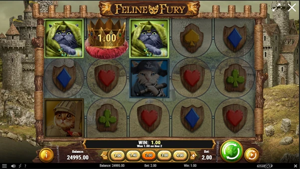 feline fury winning combination