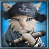 feline fury pirate