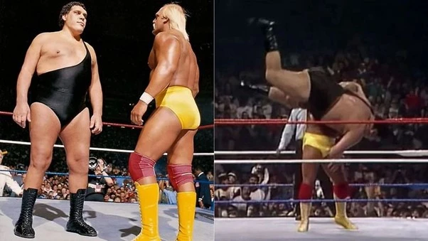 hogan vs andre