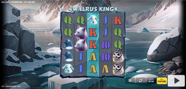 walrus king base