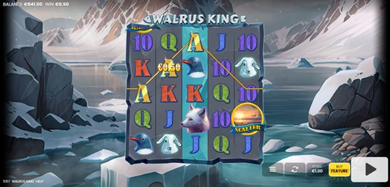 walrus king base win