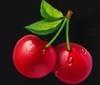 arctic fruits cherry