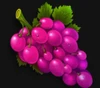 arctic fruits grapes