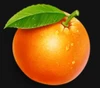 arctic fruits orange