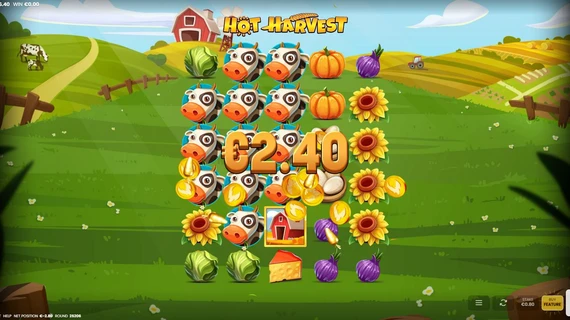 Hot Harvest 4