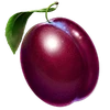 Hot Hot Fruit symbol Cherry
