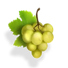 spinjoy society megaways grapes