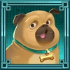 Fat Banker puppy