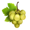 spinjoy society Grapes