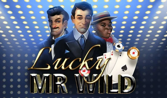 Lucky Mr Wild Slot