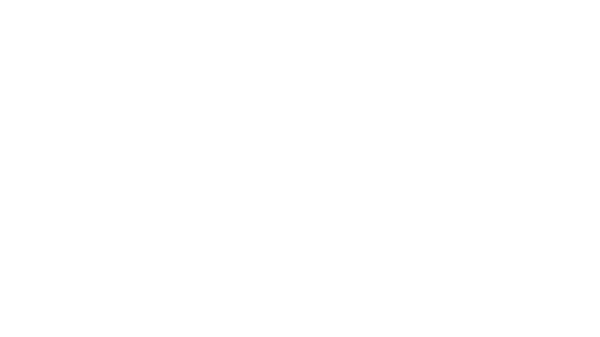 Pub Casino Logo