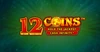 12 Coins Hold the Jackpot - Wazdan Slot