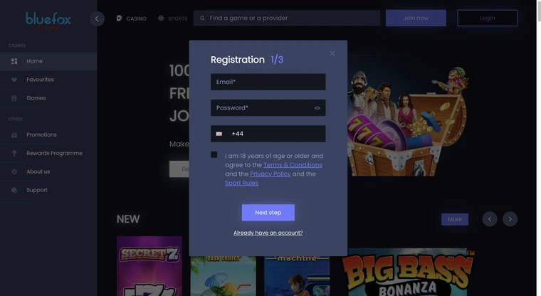 Bluefox Casino Registration Step 1