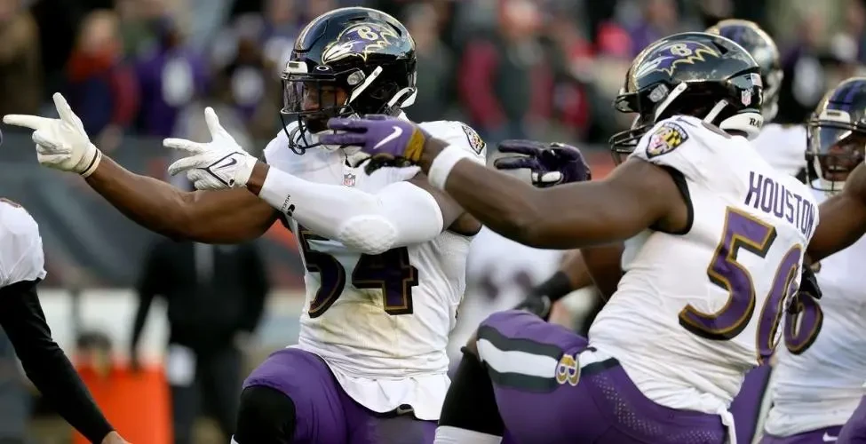 US - 3. Baltimore Ravens – 20:1