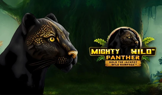 Mighty Wild: Panther - Hold the Jackpot Slot