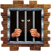 cops n robbers prison bars