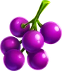 cash joker grape