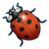 lady of fortune ladybug