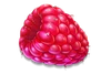 Juicy Fruits Multihold raspberry