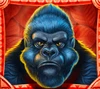 jungle fortune gorilla