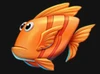 cowabunga dream drop orange fish