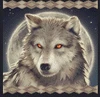 shaman's dream 2 wolf