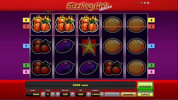 sizzling hot deluxe winning combination