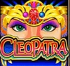 cleopatra wild