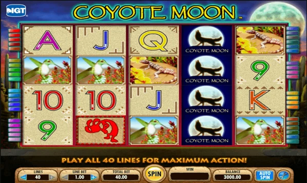 coyote moon stacked wild