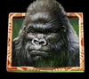 gorilla kingdom gorilla