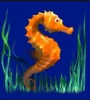 dolphin's pearl deluxe sea horse