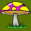 secret garden mushroom