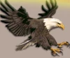 shaman's dream eagle
