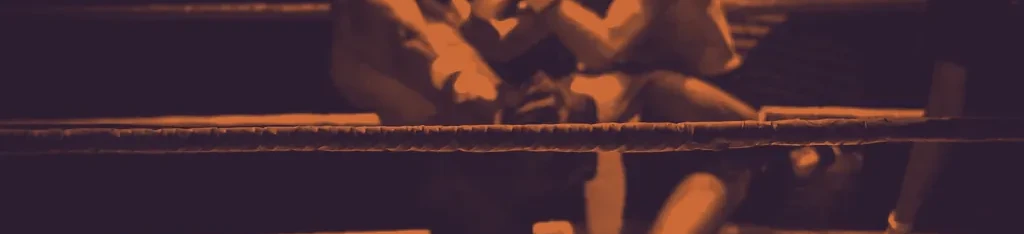 UFC’s Most Outrageous Moments #2
