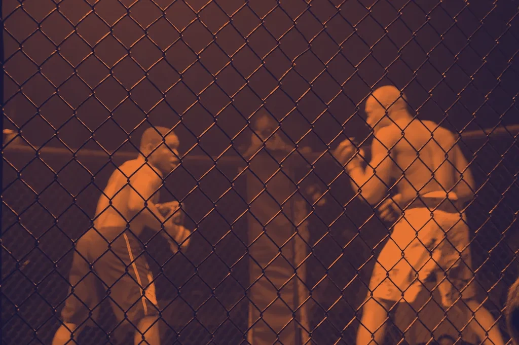 Mma cage fight