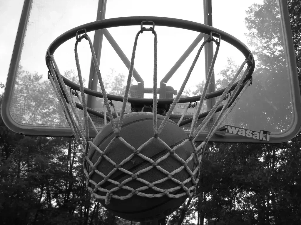 Basketball net in black and white
