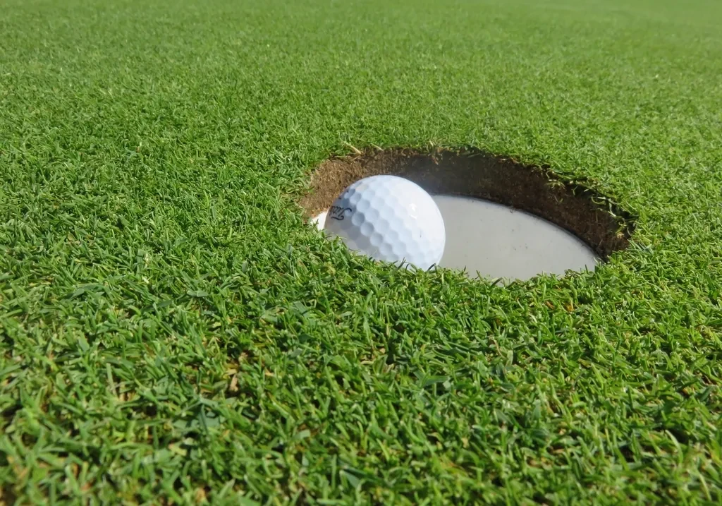 Golf ball beside the hole