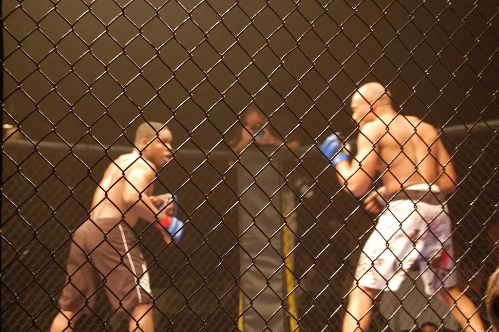 MMA cage fight